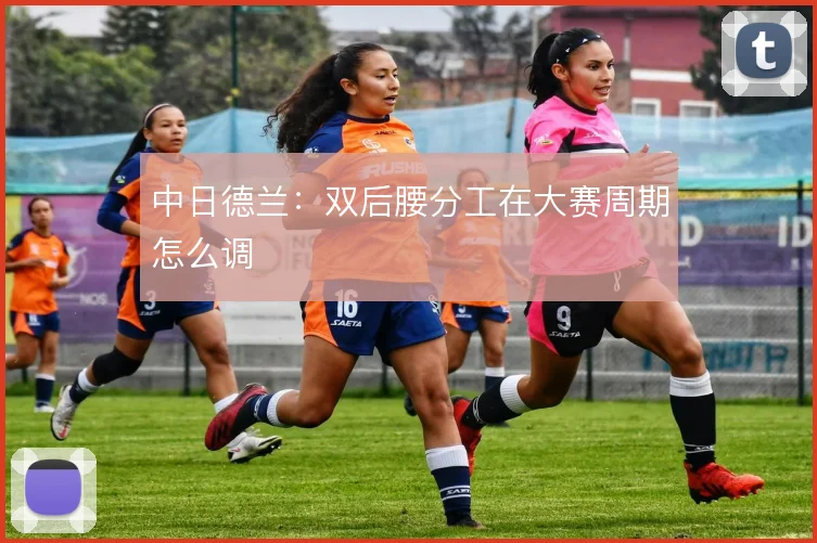 中日德兰:双后腰分工在大赛周期怎么调