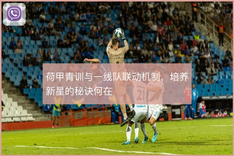 荷甲青训与一线队联动机制,培养新星的秘诀何在