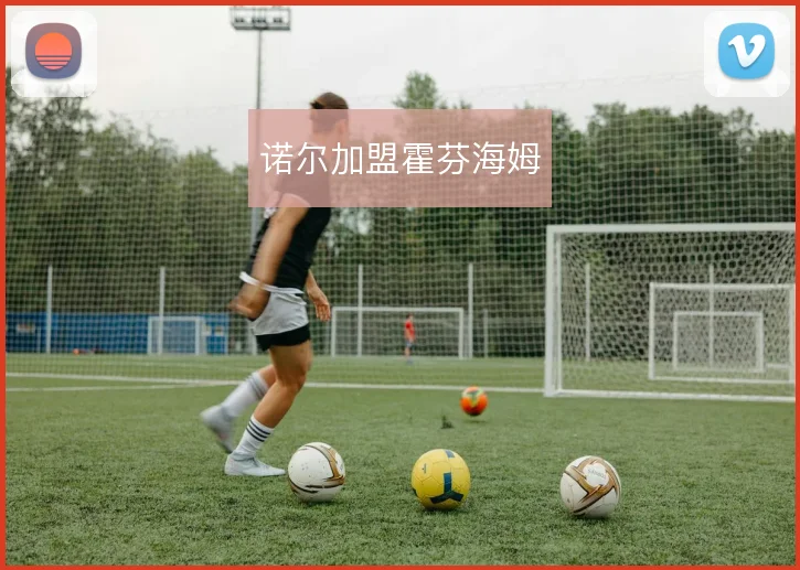 诺尔加盟霍芬海姆