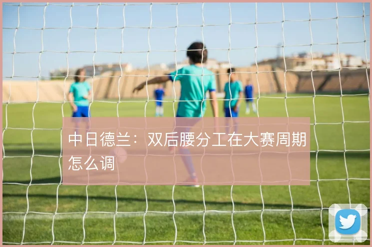 中日德兰：双后腰分工在大赛周期怎么调